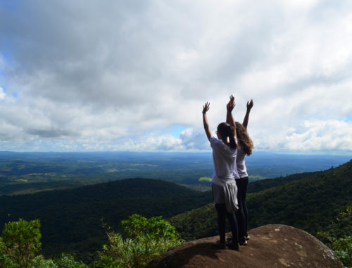ecoturismo em Curitiba