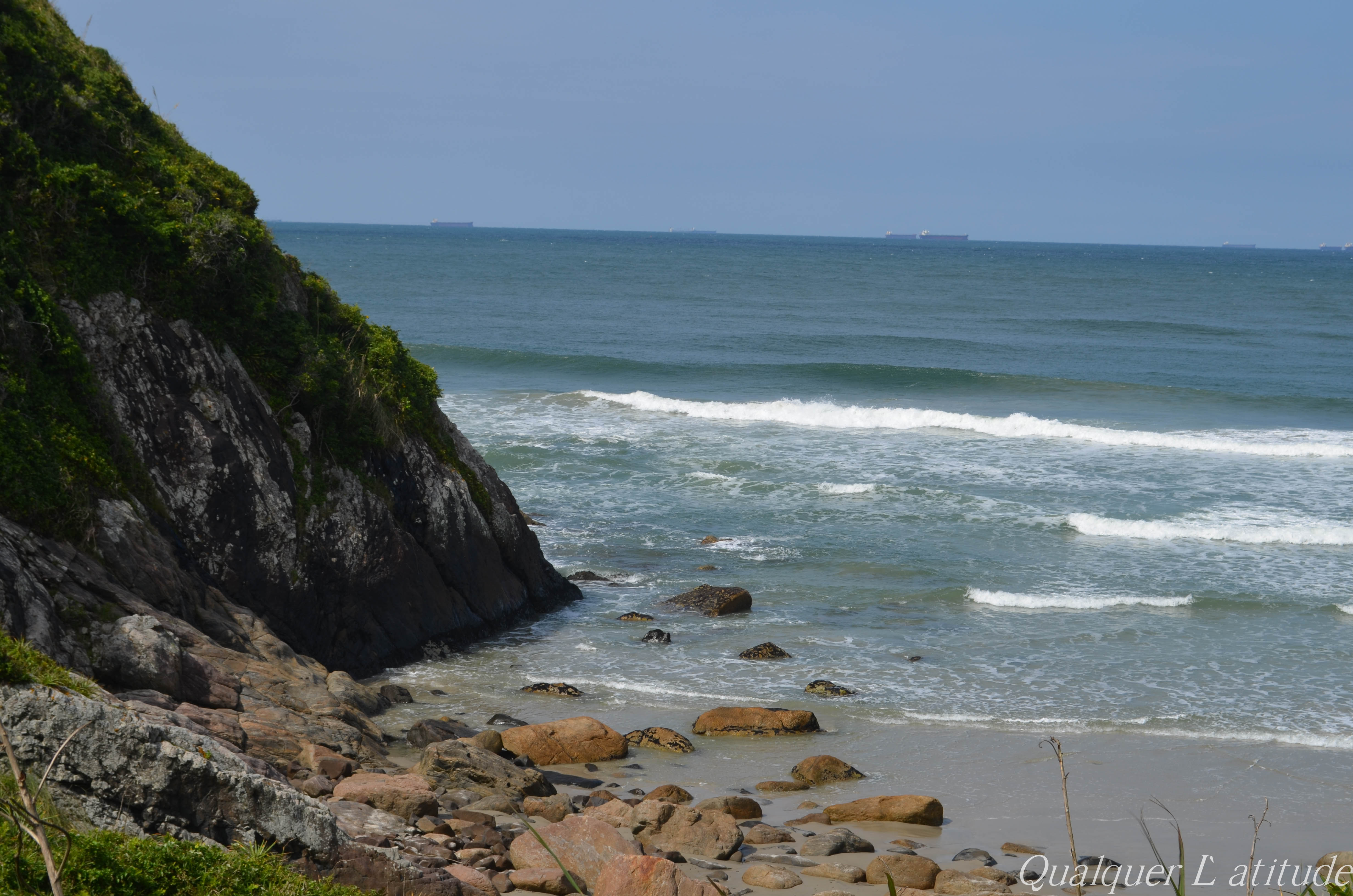 DSC_0564