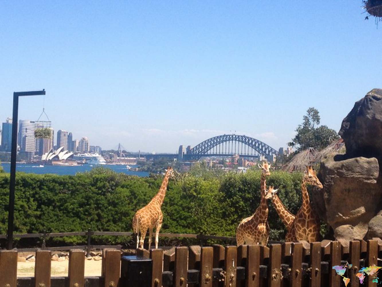 sydney (2 of 7)