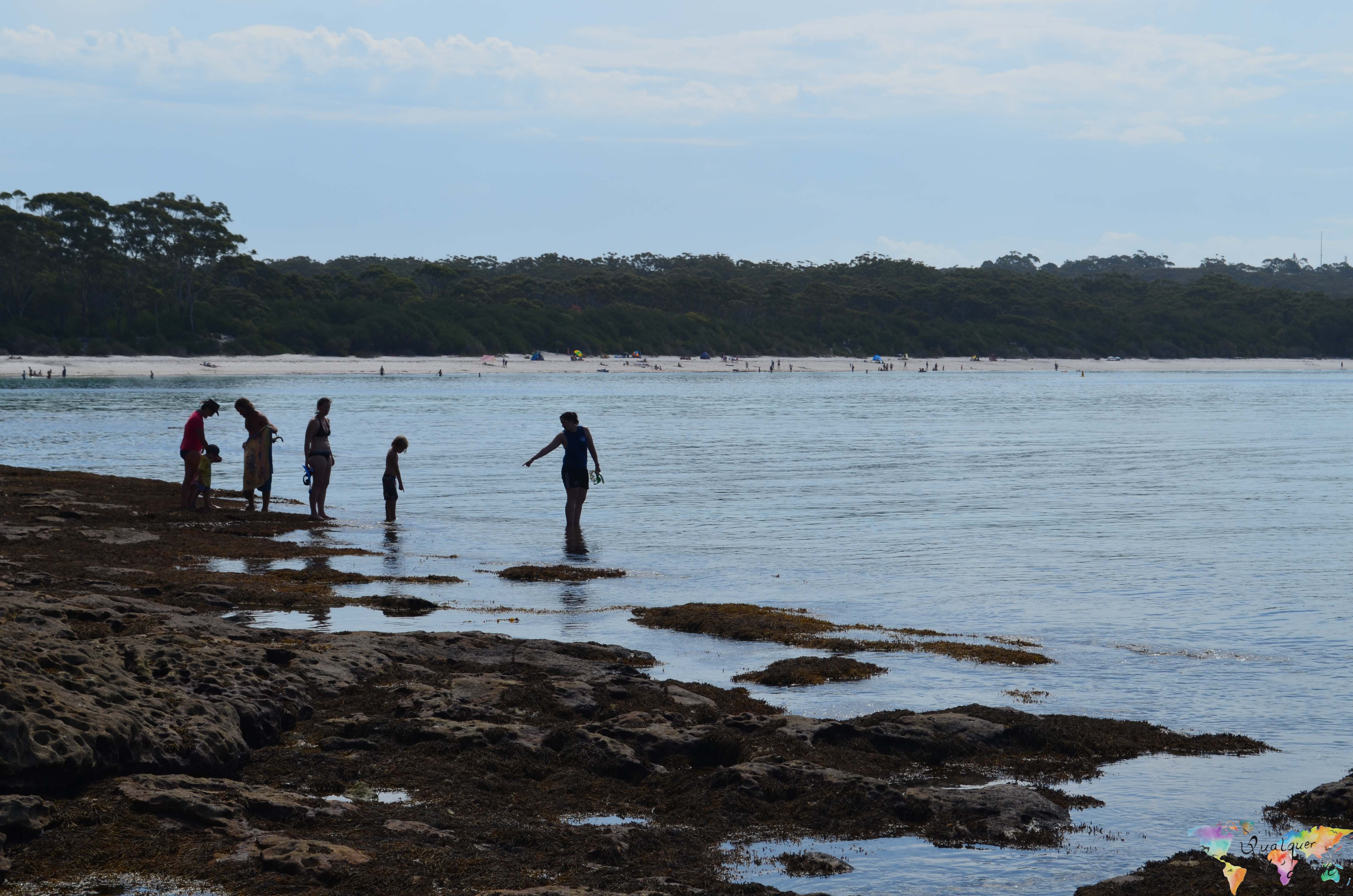 Jervis Bay (4 of 11)