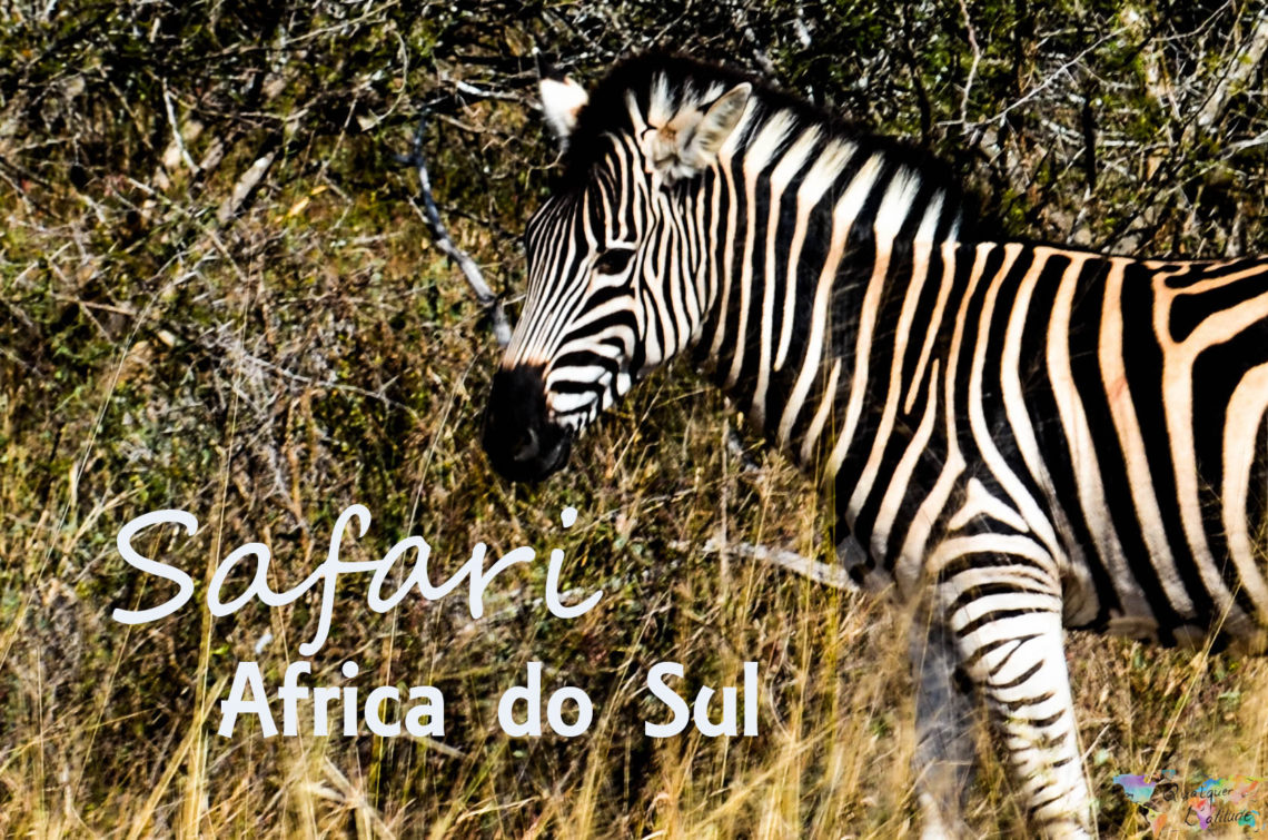 Safari na África do Sul