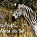 Safari na África do Sul