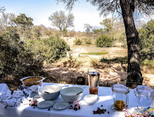 comidas da áfrica do Sul