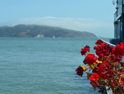 o que é turismo sustentável