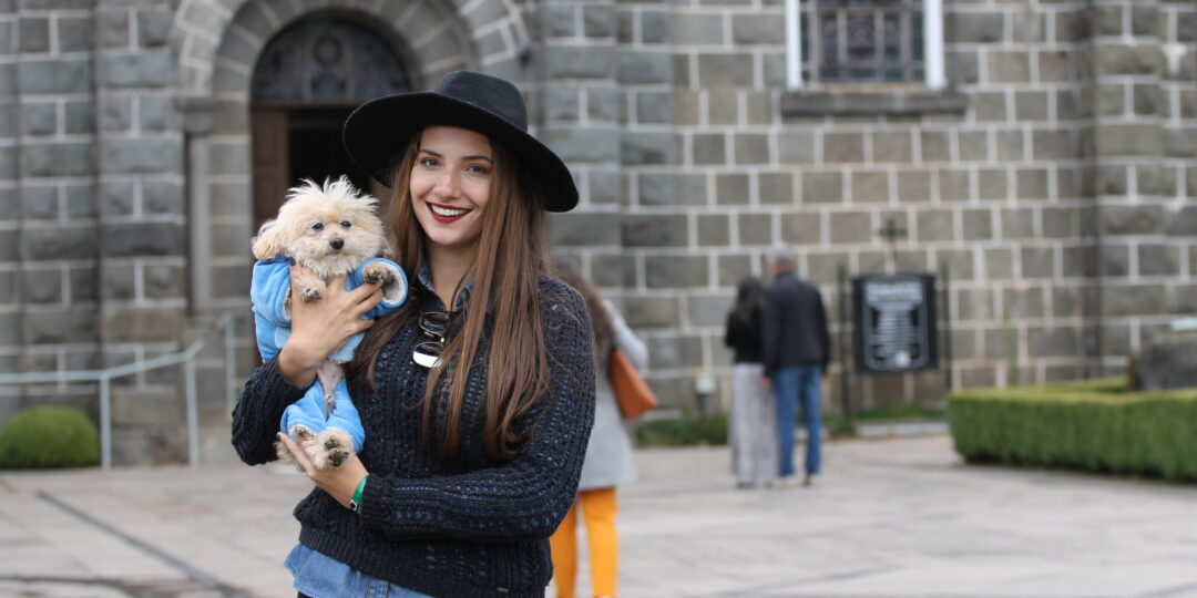 Viajar com Pet
