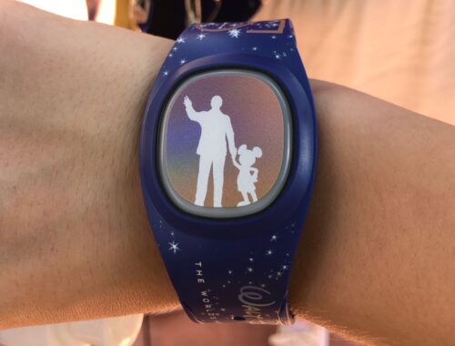 o que é a Magic band plus?